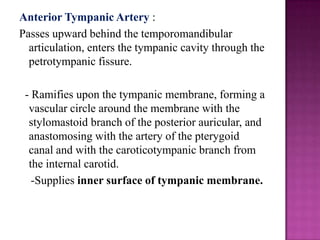 Anterior Tympanic Artery :
Passes upward behind the temporomandibular
articulation, enters the tympanic cavity through the
petrotympanic fissure.
- Ramifies upon the tympanic membrane, forming a
vascular circle around the membrane with the
stylomastoid branch of the posterior auricular, and
anastomosing with the artery of the pterygoid
canal and with the caroticotympanic branch from
the internal carotid.
-Supplies inner surface of tympanic membrane.

 