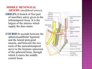 MIDDLE MENINGEAL
ARTERY (medidural artery):
ORIGIN:A branch of first part
of maxillary artery given in the
infratemporal fossa. It is the
largest of the arteries which
supply the dura mater.
COURSE:It ascends between the
sphenomandibular ligament
and the lateral pterygiod
muscle, and between the two
roots of the auriculotemporal
nerve to the foramen spinosum
of the sphenoid bone, through
which it enters the middle
cranial fossa.

 