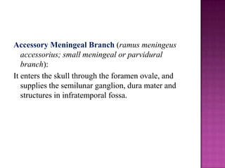 Accessory Meningeal Branch (ramus meningeus
accessorius; small meningeal or parvidural
branch):
It enters the skull through the foramen ovale, and
supplies the semilunar ganglion, dura mater and
structures in infratemporal fossa.

 