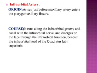 

Infraorbital Artery :
ORIGIN:Arises just before maxillary artery enters
the pterygomaxillary fissure.

COURSE;It runs along the infraorbital groove and
canal with the infraorbital nerve, and emerges on
the face through the infraorbital foramen, beneath
the infraorbital head of the Quadratus labii
superioris.

 