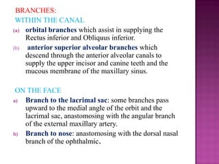 BRANCHES:
WITHIN THE CANAL
(a) orbital branches which assist in supplying the
Rectus inferior and Obliquus inferior.
(b) anterior superior alveolar branches which
descend through the anterior alveolar canals to
supply the upper incisor and canine teeth and the
mucous membrane of the maxillary sinus.
ON THE FACE
a) Branch to the lacrimal sac: some branches pass
upward to the medial angle of the orbit and the
lacrimal sac, anastomosing with the angular branch
of the external maxillary artery.
b) Branch to nose: anastomosing with the dorsal nasal
branch of the ophthalmic.

 
