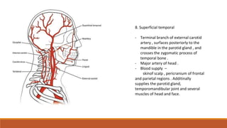 External carotid artery , ligation of External carotid artery, lingual ...