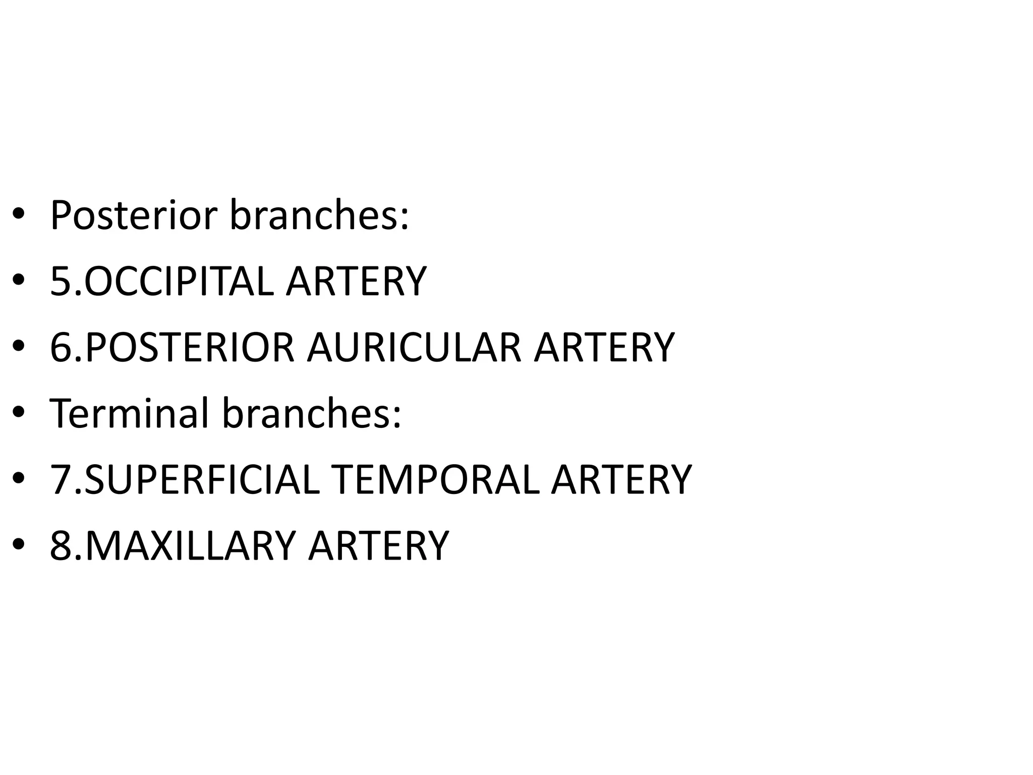 • Posterior branches:
• 5.OCCIPITAL ARTERY
• 6.POSTERIOR AURICULAR ARTERY
• Terminal branches:
• 7.SUPERFICIAL TEMPORAL ARTERY
• 8.MAXILLARY ARTERY