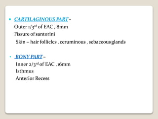  CARTILAGINOUS PART -
Outer 1/3rd of EAC , 8mm
Fissure of santorini
Skin – hair follicles , ceruminous , sebaceousglands
• BONY PART–
Inner 2/3rd of EAC ,16mm
Isthmus
Anterior Recess
 
