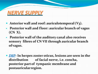 NERVE SUPPLY
 Anterior wall and roof: auriculotemporal (V3).
 Posterior wall and floor: auricular branch of vagus
(CN X).
 Posterior wall of the auditory canal also receives
sensory fibres of CN VII through auricular branch
ofvagus.
 IMP- In herpes zoster oticus, lesions are seen in the
distribution of facial nerve, i.e. concha,
posterior partof tympanic membrane and
postauricularregion.
 
