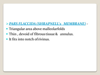 PARS FLACCIDA (SHRAPNELL's MEMBRANE) -
 Triangular area above malleolarfolds
 Thin , devoid of fibroustissue & annulus.
 It fits into notch ofrivinus.
 