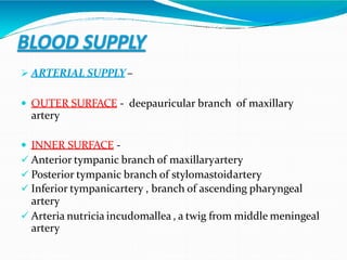BLOOD SUPPLY
 ARTERIAL SUPPLY–
 OUTER SURFACE - deepauricular branch of maxillary
artery
 INNER SURFACE -
 Anterior tympanic branch of maxillaryartery
 Posterior tympanic branch of stylomastoidartery
 Inferior tympanicartery , branch of ascending pharyngeal
artery
 Arteria nutricia incudomallea , a twig from middle meningeal
artery
 