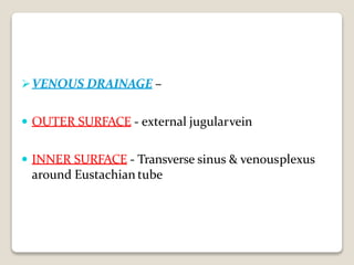 VENOUS DRAINAGE –
 OUTER SURFACE - external jugularvein
 INNER SURFACE - Transverse sinus & venousplexus
around Eustachian tube
 