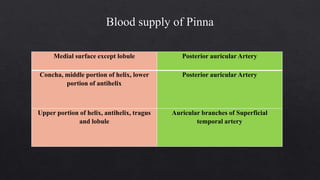 Medial surface except lobule Posterior auricular Artery
Concha, middle portion of helix, lower
portion of antihelix
Posterior auricular Artery
Upper portion of helix, antihelix, tragus
and lobule
Auricular branches of Superficial
temporal artery
 