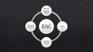 EAC
MIDDLE
CRANIAL
FOSSA
TMJ
PAROTID
GLAND
MASTOID
AIR CELL
 