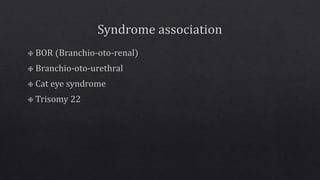 External ear anatomy