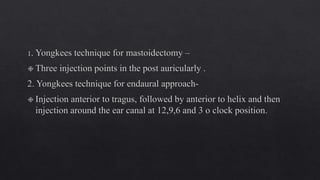 External ear anatomy
