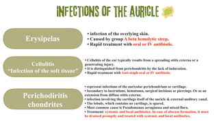 Infections of the auricle
Erysipelas
Cellulitis
“Infection of the soft tissue”
Perichodiritis
chondrites
• infection of the overlying skin.
• Caused by group A beta hemolytic strep.
• Rapid treatment with oral or IV antibiotic.
• Cellulitis of the ear typically results from a spreading otitis externa or a
penetrating injury.
• It is distinguished from perichondritis by the lack of induration.
• Rapid treatment with Anti-staph oral or IV antibiotic.
• represent infections of the auricular perichondrium or cartilage.
• Secondary to lacerations, hematoma, surgical incisions or piercings. Or as an
extension from diffuse otitis externa.
• infection involving the cartilage itself of the auricle & external auditory canal.
• The lobule, which contains no cartilage, is spared.
• Most common cause is Pseudomonas aeruginosa and mixed flora.
• Treatment: systemic and local antibiotics. In case of abscess formation, it must
be drained promptly and treated with systemic and local antibiotics.
 