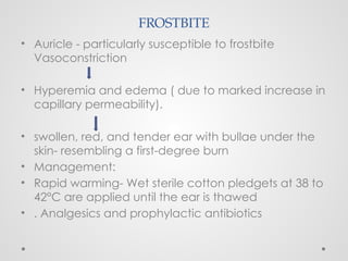 FROSTBITE
• Auricle - particularly susceptible to frostbite
Vasoconstriction
• Hyperemia and edema ( due to marked increase in
capillary permeability).
• swollen, red, and tender ear with bullae under the
skin- resembling a first-degree burn
• Management:
• Rapid warming- Wet sterile cotton pledgets at 38 to
42°C are applied until the ear is thawed
• . Analgesics and prophylactic antibiotics
 