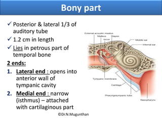Bony part
 Posterior & lateral 1/3 of
auditory tube
 1.2 cm in length
 Lies in petrous part of
temporal bone
2 ends:
1. Lateral end : opens into
anterior wall of
tympanic cavity
2. Medial end : narrow
(isthmus) – attached
with cartilaginous part
©Dr.N.Mugunthan
 