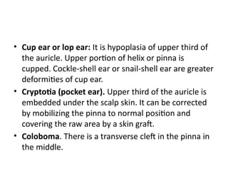 External_Ear_Lecture-Gachuhi-1.pptx kenya | PPTX