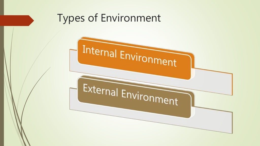 External Environment | Business Environment
