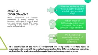 External Environment Analysis SM.pdf
