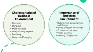 External Environment Analysis SM.pdf