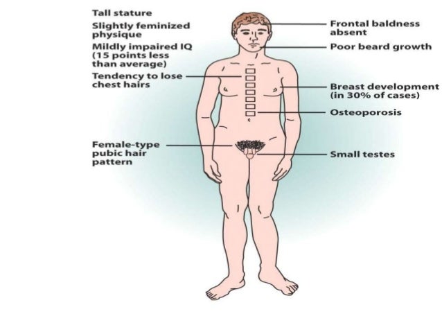 External Examination In Autopsies With Pro Forma