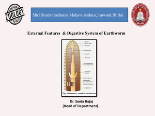 Shri Shankaracharya Mahavidyalaya,Junwani,Bhilai
Dr. Sonia Bajaj
(Head of Department)
External Features & Digestive System of Earthworm
 