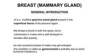 BREAST (MAMMARY GLAND)
GENERAL INTRODUCTION
-it is a modified apocrine sweat gland present in the
superficial fascia of the pectoral region .
-the breast is found in both the sexes, but is
rudimentary in males and is well devloped in
females after puberty .
-on rare occasions,breast of males may get enlarged,
this condition is called as gynecomastia ( probably due to some
hormonal imbalance )
 