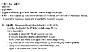 STRUCTURE:
• (1) skin
• (2) stroma
• (3) parenchyma / glandular tisssue / mammary gland proper
• skin – it is supplied by the anterior and lateral branches of 4th,5thand 6th intercostal nerves.
• it covers the mammary gland and presents the following features :
• (a) nipple- it is a conical projection below the center of the
breast at the level of the 4th intercostal space 10 cm
from the midline .
- the nipple is peirced by 15-20 lactiferous ducts.
- it contains circular and longitudnal smooth muscle
fibres which can make the nipple stiff or flatten respectively.
- tiny tubercles on the areola are produced by the underlying areolar glands.
- being richly innervated by sensory nerve endings , the
nipple is most sensitive part of the breast.
 