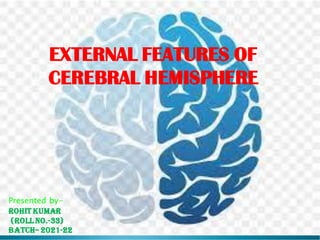 EXTERNAL FEATURES OF
CEREBRAL HEMISPHERE
Presented by-
ROHIT KUMAR
(Roll no.-33)
Batch– 2021-22
 