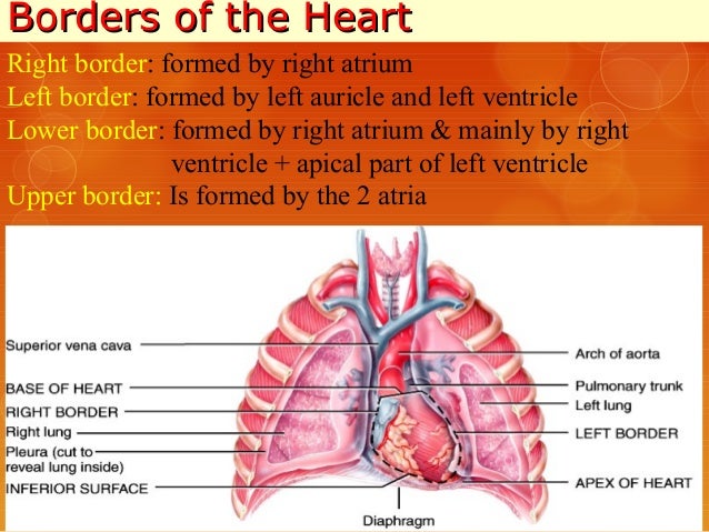 Borders of the heart