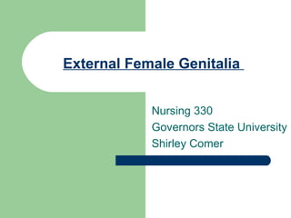 External Female Genitalia  Nursing 330 Governors State University Shirley Comer 