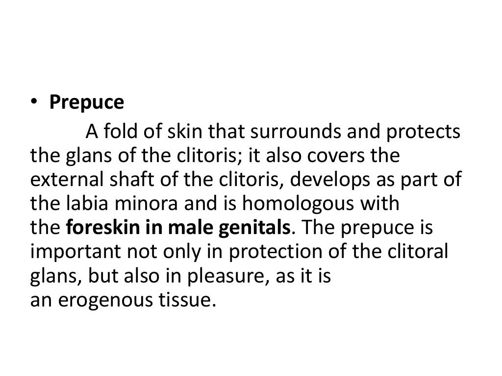 External genitalia parts