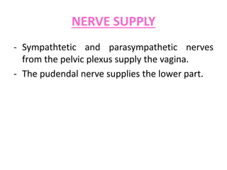 - The cervix: protrudes into the vagina. The upper
half which is above the vagina, is termed as the
supravaginal portion w...