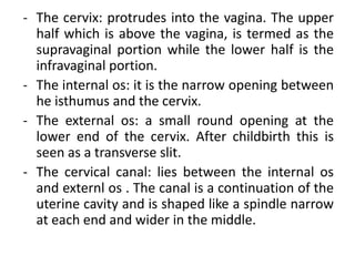 FUNCTIONS
• The uterus serves to shelter the fetus during
pregnancy . It prepares for this possibility each
month. At the ...