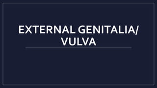 EXTERNAL GENITALIA/
VULVA
 