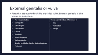External genitalia.pptx