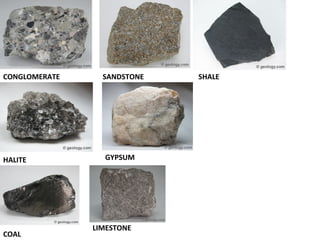 CONGLOMERATE SANDSTONE SHALE
HALITE
COAL
LIMESTONE
GYPSUM
 