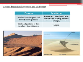 Aeolian depositional processes and landforms:
Process Landform
Wind reduces its speed and
deposits sandy particles
Dunes (ex. Barchans) and
dune fields. Sandy deserts
or ergs.
The finest particles of dust
travel very long distances.
Loess
 