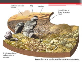 Gravel desert or
desert pavement
(Reg)
Deflation and sand
column
Mushroom-shaped
rocks created by
abrasion
Erg Barchan
Loess deposits are formed far away from deserts.
 