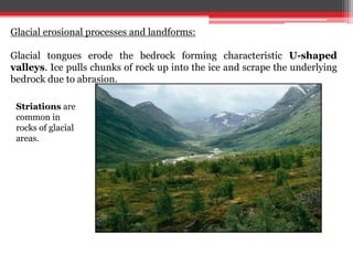 Glacial erosional processes and landforms:
Glacial tongues erode the bedrock forming characteristic U-shaped
valleys. Ice pulls chunks of rock up into the ice and scrape the underlying
bedrock due to abrasion.
Striations are
common in
rocks of glacial
areas.
 