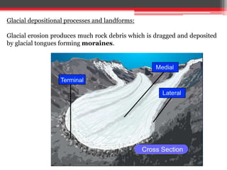 Glacial depositional processes and landforms:
Glacial erosion produces much rock debris which is dragged and deposited
by glacial tongues forming moraines.
 