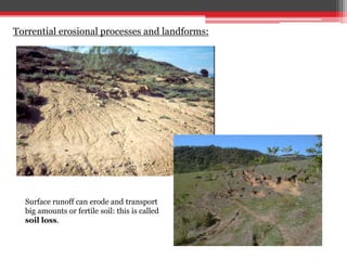 Torrential erosional processes and landforms:
Surface runoff can erode and transport
big amounts or fertile soil: this is called
soil loss.
 
