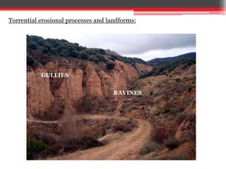 GULLIES
RAVINES
Torrential erosional processes and landforms:
 