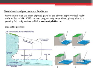 Coastal erosional processes and landforms:
Wave action over the most exposed parts of the shore shapes vertical rocky
walls called cliffs. Cliffs retreat progressively over time, giving rise to a
growing flat rocky surface called wave- cut platform.
This is the process:
 