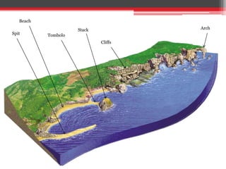 Spit Tombolo
Beach
Cliffs
ArchStack
 