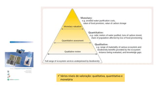  Vários níveis de valoração: qualitativa, quantitativa e
monetária
 