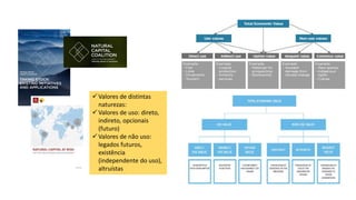  Valores de distintas
naturezas:
 Valores de uso: direto,
indireto, opcionais
(futuro)
 Valores de não uso:
legados futuros,
existência
(independente do uso),
altruístas
 