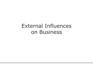 External Influences on Business 