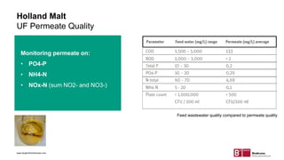 Feed wastewater quality compared to permeate quality
Holland Malt
UF Permeate Quality
Monitoring permeate on:
• PO4-P
• NH4-N
• NOx-N (sum NO2- and NO3-)
www.berghofmembranes.com
 