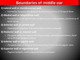 Pyramidal Prominence External &middle ear anatomy | PDF