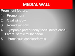 Pyramidal Prominence External &middle ear anatomy | PDF